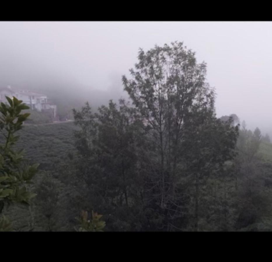 The Valley Villa Kotagiri Ngoại thất bức ảnh